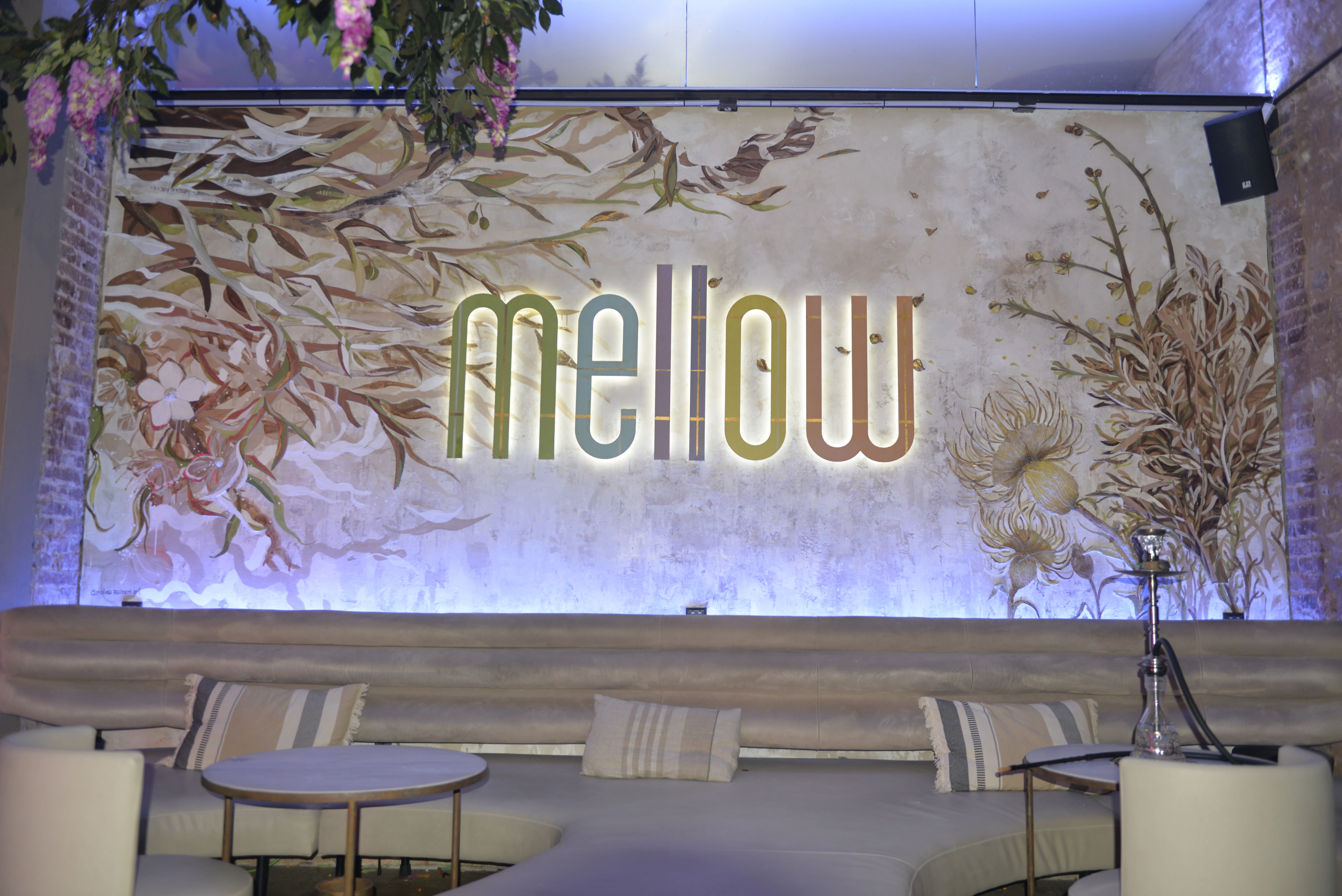 Interior acogedor de Mellow Shisha con sofás cómodos y decoración moderna